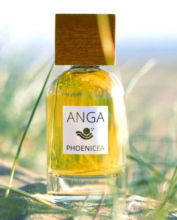 ANGA